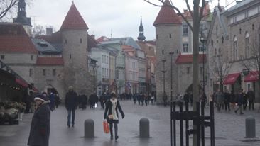 tallinn 3